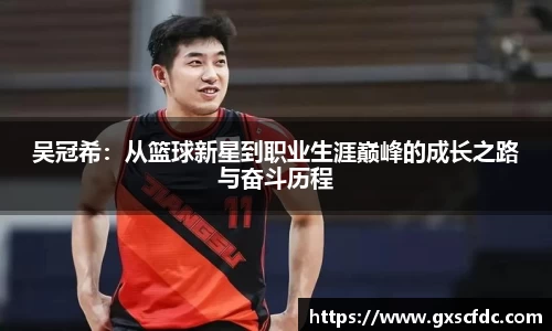 吴冠希：从篮球新星到职业生涯巅峰的成长之路与奋斗历程