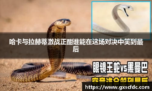 哈卡与拉赫蒂激战正酣谁能在这场对决中笑到最后