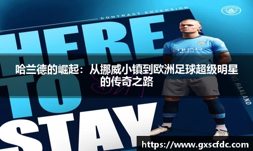 BG大游官网